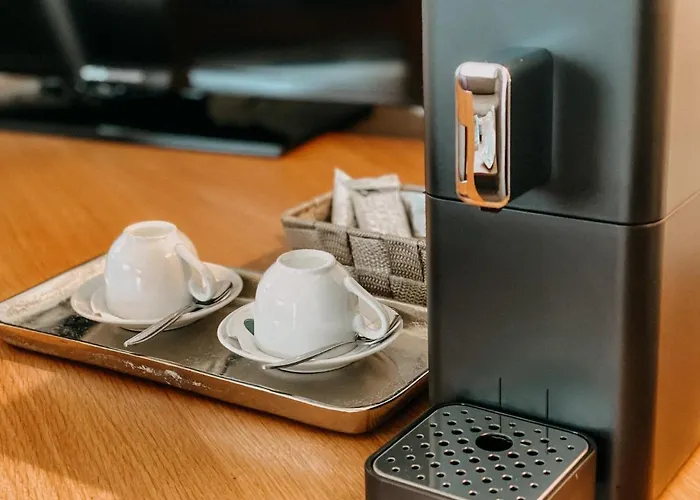 فندق رومر هوف 4*